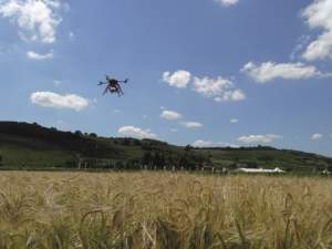 Numerose indagini indicano proprio l’agricoltura come l’ambito di maggior sviluppo per i droni.